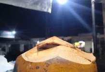 Ini Manfaat Kelapa Bakar bagi Kesehatan