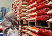 Karantina Kepri Periksa 25 Ton Beras Asal Jakarta di Batam