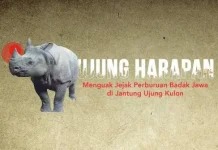 Peringatan Hari Badak Sedunia