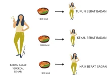 Strategi Defisit Kalori dan Pola Makan Sehat Menurut Penjelasan Dokter Gizi