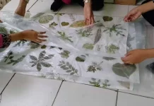 Proses Pembuatan Kain Ecoprint