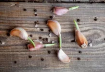 Bawang Putih Bertunas, Masih Aman Dikonsumsi? Ini Penjelasannya