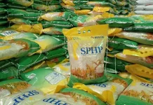 Bulog Siapkan Beras SPHP untuk Kopdes, Pesanan Tak Dibatasi Kuota