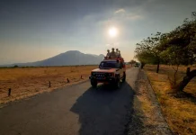 Baluran, Savana Jawa dan Jejak Kehidupan Satwa Liar