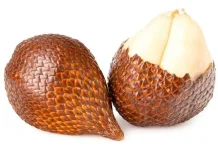 Manfaat Buah Salak bagi Kesehatan