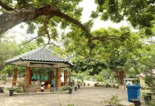 Tak Harus ke Mal, Ajak Anak Menikmati Alam di Batam