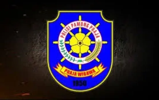 Satpol PP Satlinmas Tangguh Kawal Pembangunan Kepri