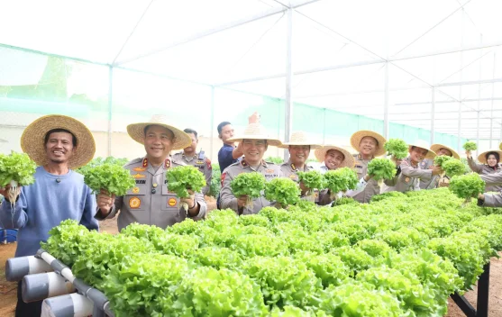 Polda Kepri Panen Perdana Hidroponik, Dukung Ketahanan Pangan