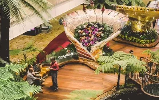 Penumpang Changi Naik, Rute Timur Tengah Turun Tajam