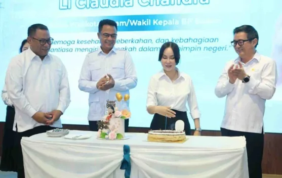 DPRD Batam Apresiasi Kerjasama Listrik untuk Data Center Batam