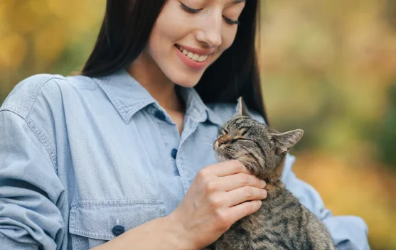 Manfaat Memelihara Kucing yang Perlu Diketahui untuk Kesehatan