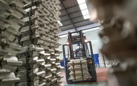 Wop Cairr ! TINS Akan Bayar Dividen Investor Rp.8.818 per Lot