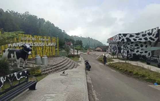 Kampung Susu Lawu Magetan, Wisata Edukasi yang Ramah Keluarga