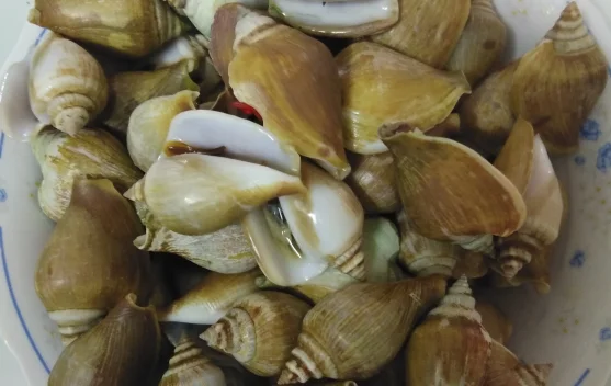Mengenal Gonggong, Hidangan Laut Khas Kepulauan Riau