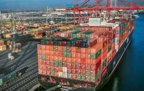 Ingin Buka Freight Forwarding? Pahami Hak Izinnya!