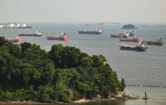 Singapura Perkuat Tebing Pantai Tanjong Rimau untuk Cegah Erosi