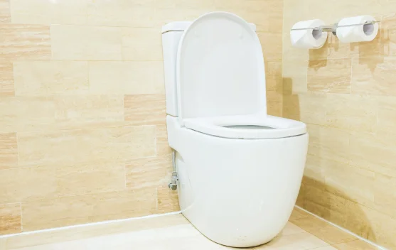Ini Penyebab Toilet Bisa Berjamur walau Sering Dibersihkan