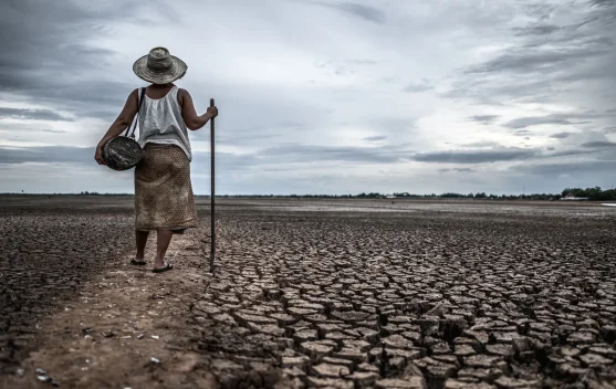 El Nino Diprediksi Terkuat dalam Empat Dekade, Bertahan hingga Februari 2027