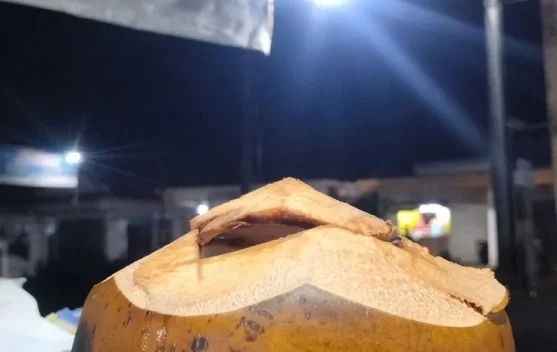 Ini Manfaat Kelapa Bakar bagi Kesehatan