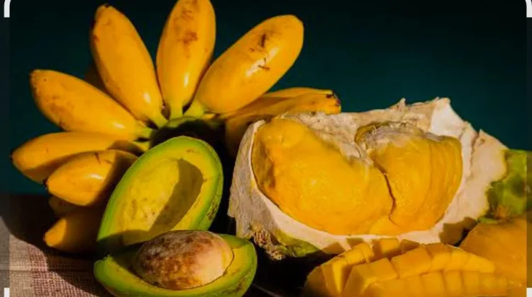 Sejumlah Buah Tinggi Kalori yang Harus Dikonsumsi Bijak