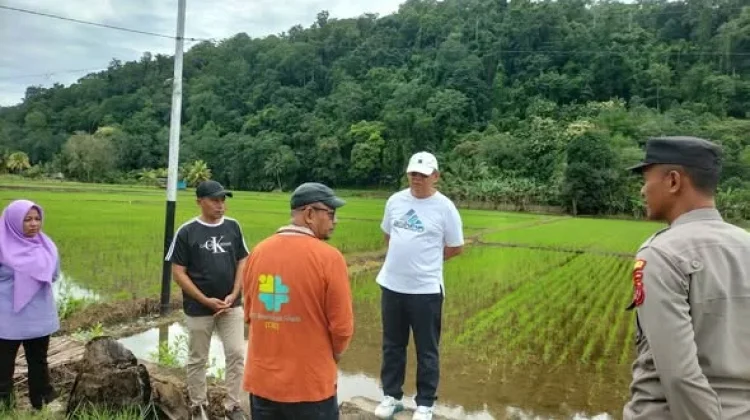Tinjau Banjir, Wali Kota Baubau Fokus Pembenahan Irigasi
