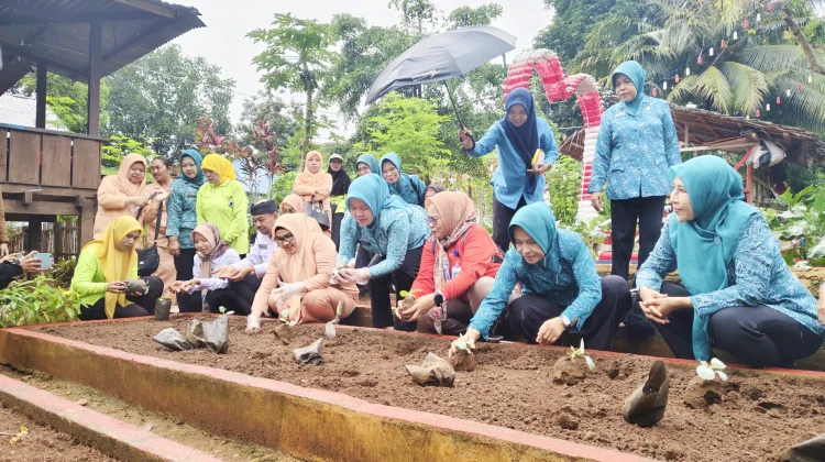 Monev Kedai 2026, PKK Baubau Dorong Ketahanan Pangan Keluarga