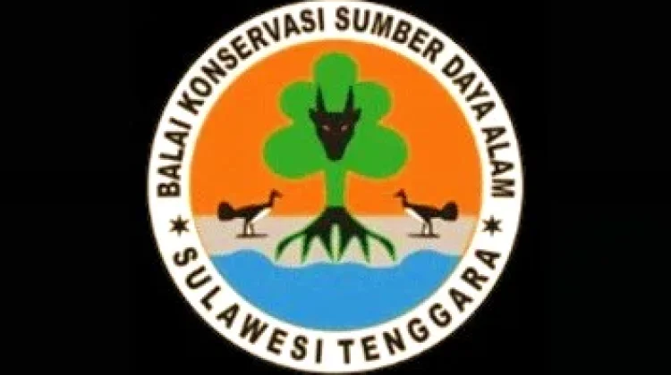 BKSDA Sultra Beri Respon Terkait Penjualan Ular Piton di Pasar Wameo