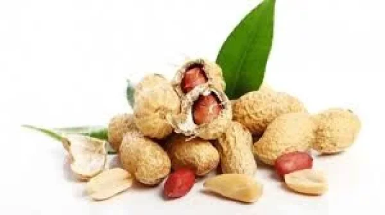 Manfaat Kacang Tanah untuk Ibu Hamil