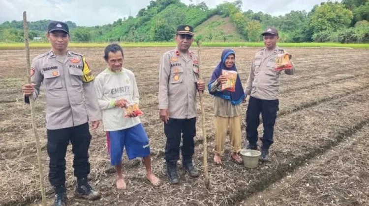 Polsek Sorawolio Tanam Jagung Dorong Kemandirian Pangan Lokal