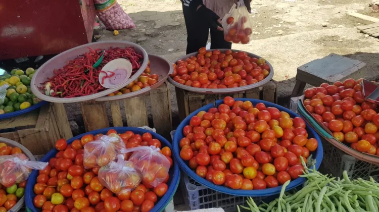 Harga Tomat Melonjak, Daya Beli Warga Baubau Turun