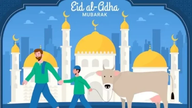 Panduan Lengkap Ibadah Kurban, dari Niat hingga Pembagian Daging