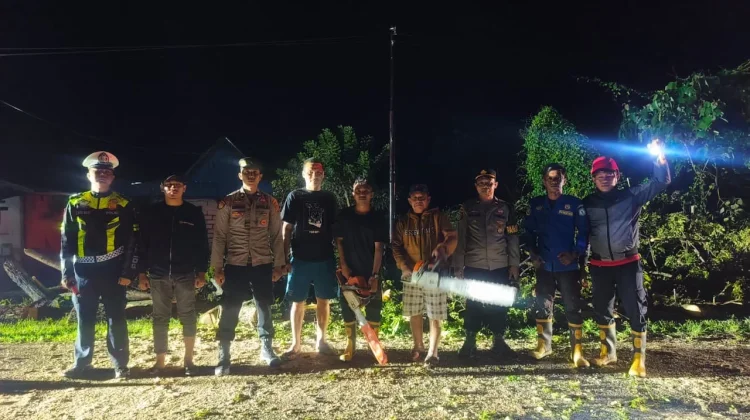 Damkar Bombana Sigap Evakuasi Pohon Tumbang tengah malam