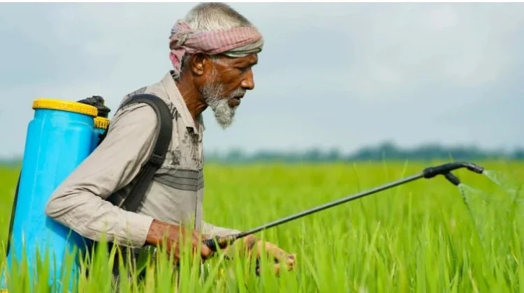 Krisis Alat Pelindung Diri pada Petani Penyemprot Pestisida