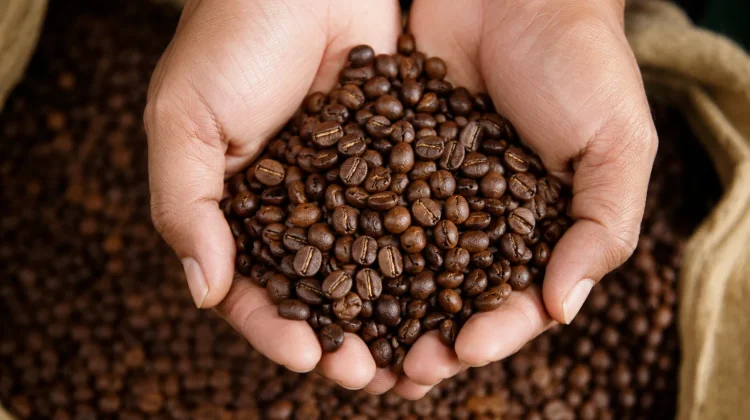 Kebutuhan Kopi di Baubau Besar, Produk Lokal Sulit Terserap