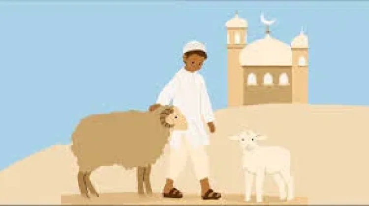 Tips Memilih Hewan Kurban Sesuai Syariat Islam