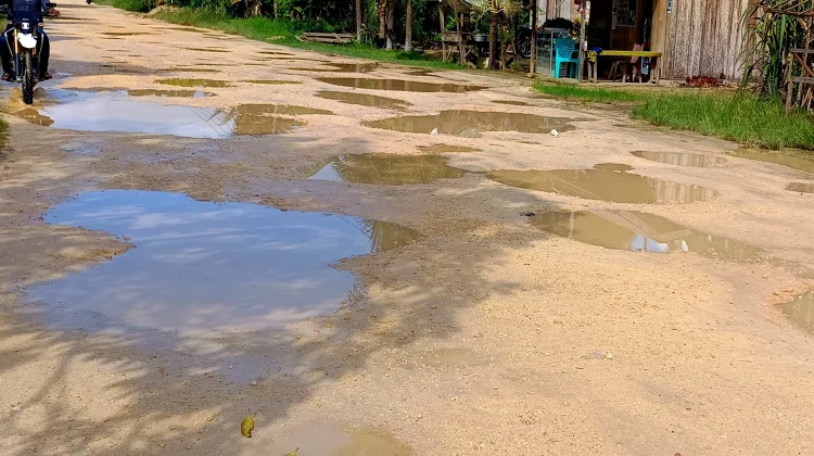Selama 36 Tahun Menanti Aspal, Jalan Desa Pongkowulu Penuh Kubangan