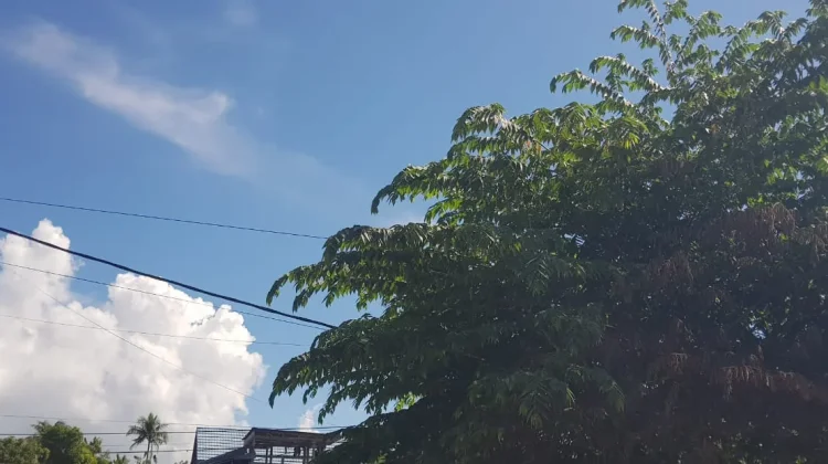 Prakiraan Cuaca Sulawesi Tenggara 19 Mei 2026