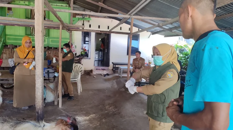 Pemkot Baubau Intensifkan Pengawasan Hewan Kurban