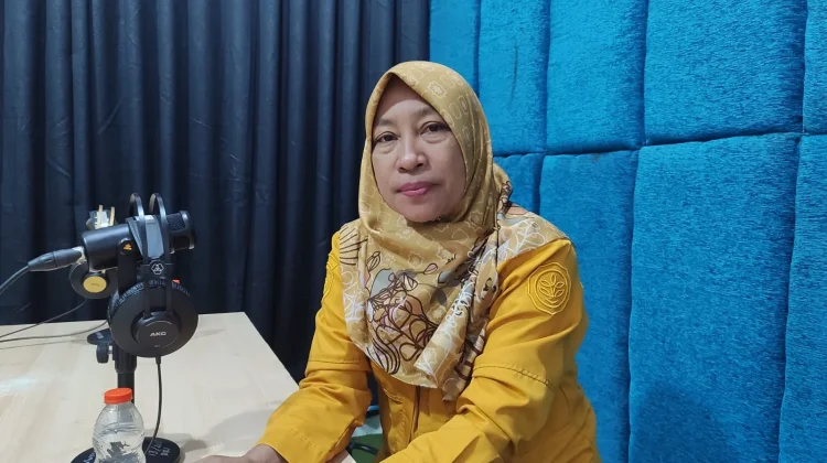 Baubau dapat Sapi Kurban Presiden Jenis Peranakan Mongol Berbobot 920 Kg