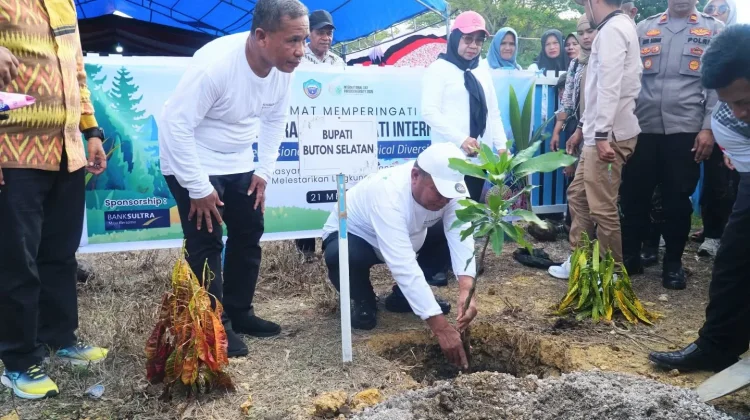 Peringati Hari Keanekaragaman Hayati, Bupati Buton Selatan Pimpin Penghijauan