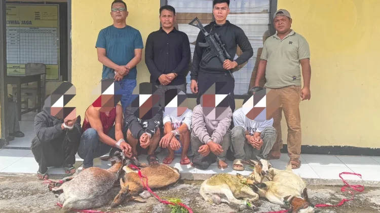 Polisi Ringkus Pencuri Kambing saat Hendak Menyeberang ke Baubau