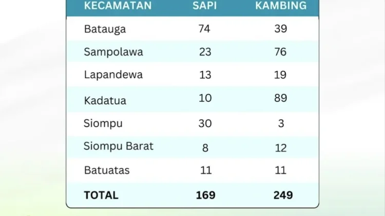 Kemenag Buton Selatan: Sebaran Hewan Kurban Idul Adha Capai 418 Ekor