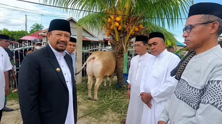 Bupati Serahkan Sapi Kurban Presiden di Kampung Nelayan Watolo