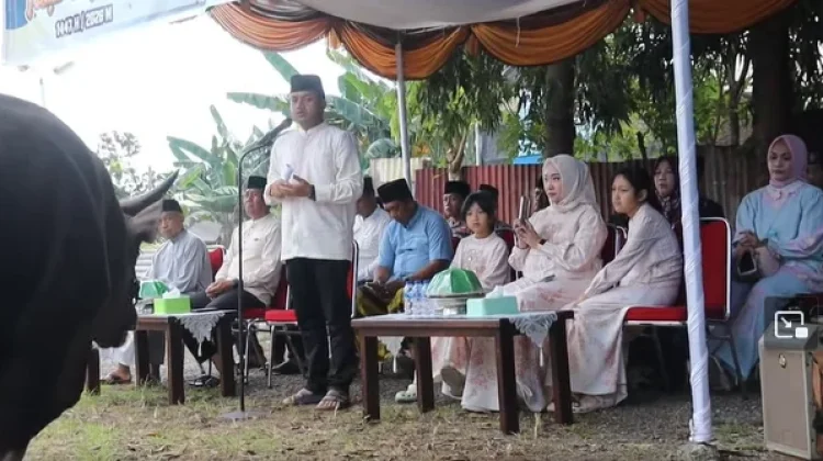 Polres Baubau Kurban 13 Ekor Sapi