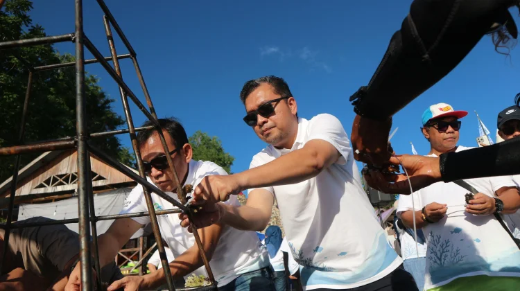 ASDP Baubau-PNM Gelar TJSL Tanam Terumbu Karang Jaga Keberlanjutan Ekosistem Laut