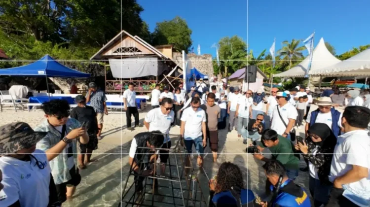 PNM Baubau dan ASDP Kolaborasi Tanam Terumbu Karang