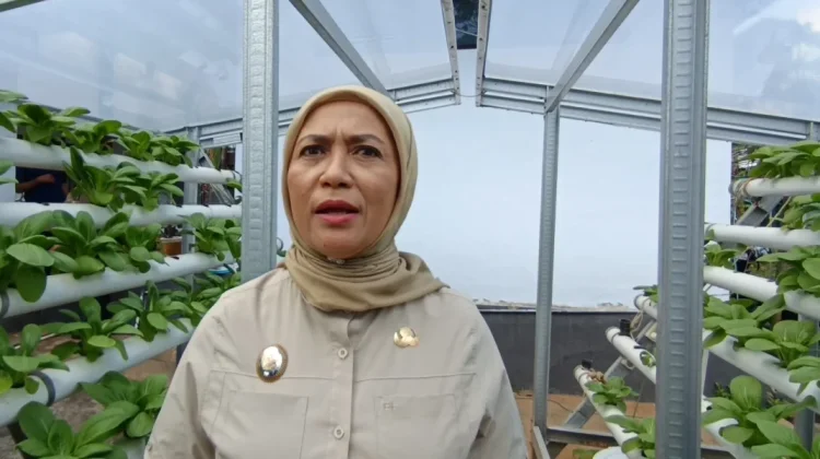 Wawali Baubau Dorong Intensifikasi Pertanian Redam Inflasi