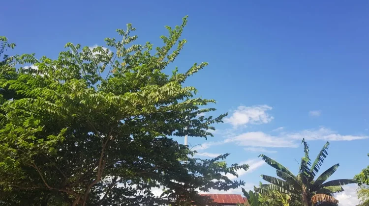 Prakiraan Cuaca Sulawesi Tenggara 27 Juni 2026