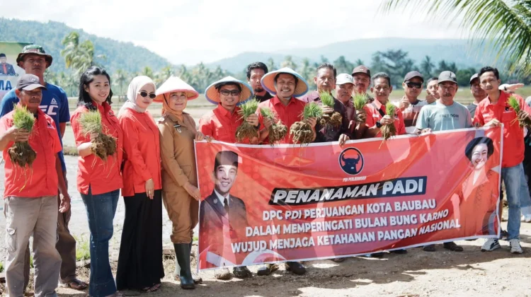 PDIP Baubau Turun ke Sawah Dukung Ketahanan Pangan
