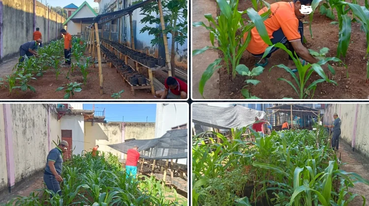 Lapas Baubau Bekali WBP Keterampilan Bertani melalui Program Hortikultura